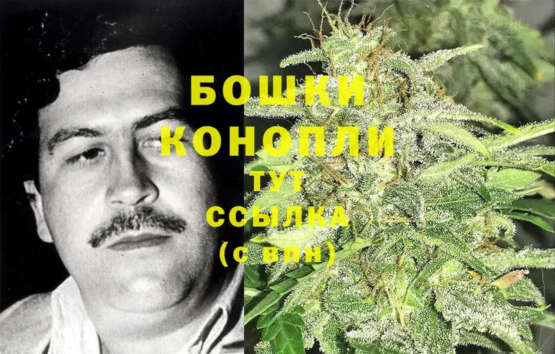 где можно купить наркотик  Муравленко  Каннабис White Widow 